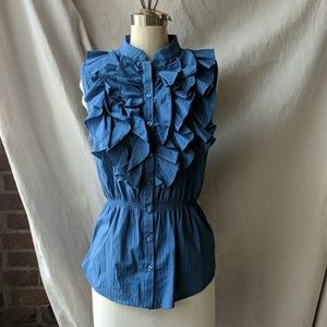 Anthropologie Top Blue Robin